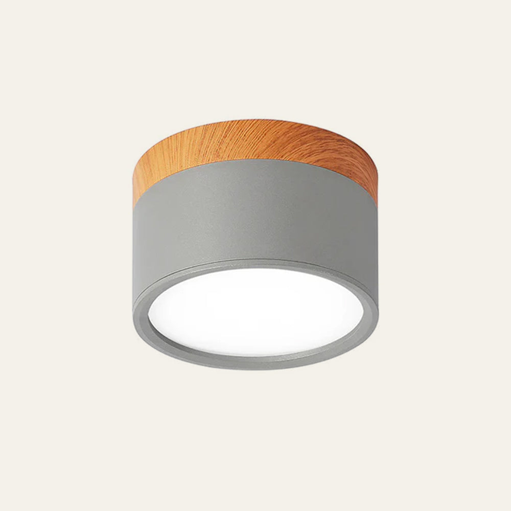 LED Ceiling Light Modern Flush Mount Cylinder
