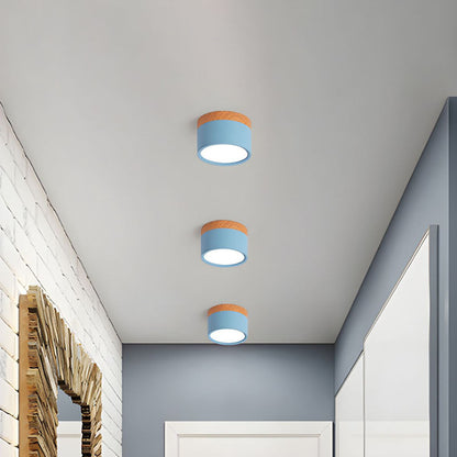 LED Ceiling Light Modern Flush Mount Cylinder