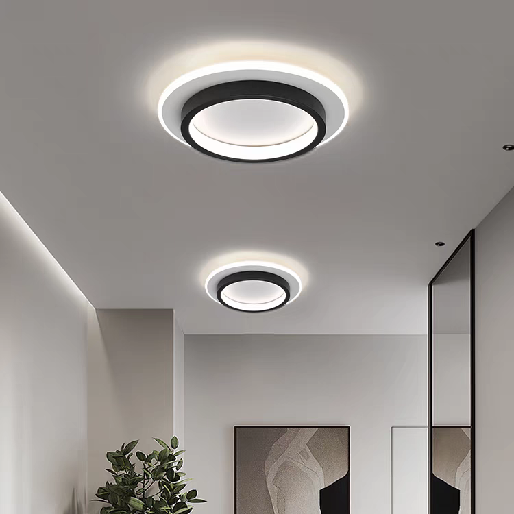 LED Ceiling Light Modern Flush Mount Fixture