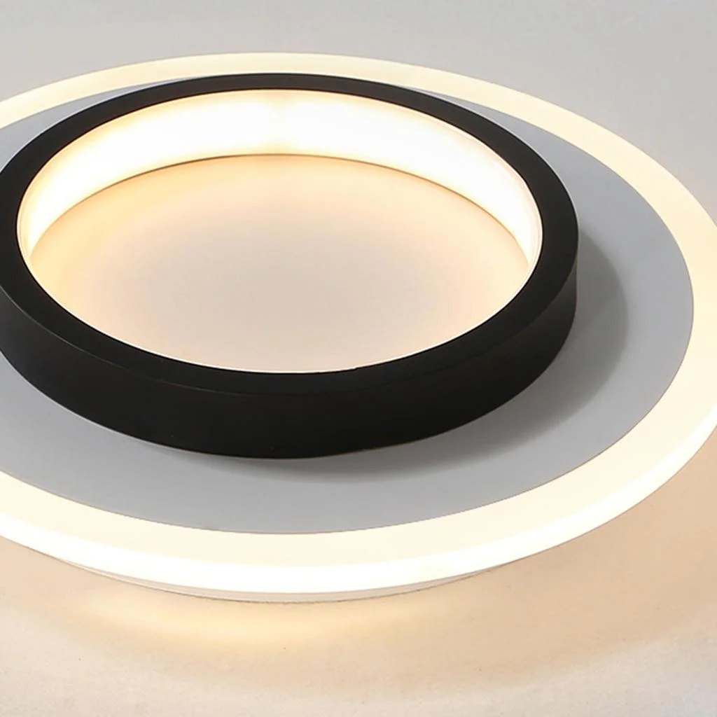 LED Ceiling Light Modern Flush Mount Fixture