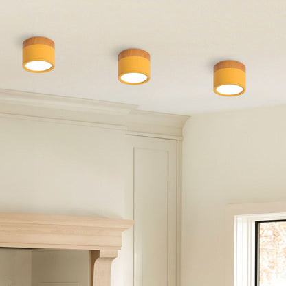 LED Ceiling Light Modern Flush Mount Cylinder