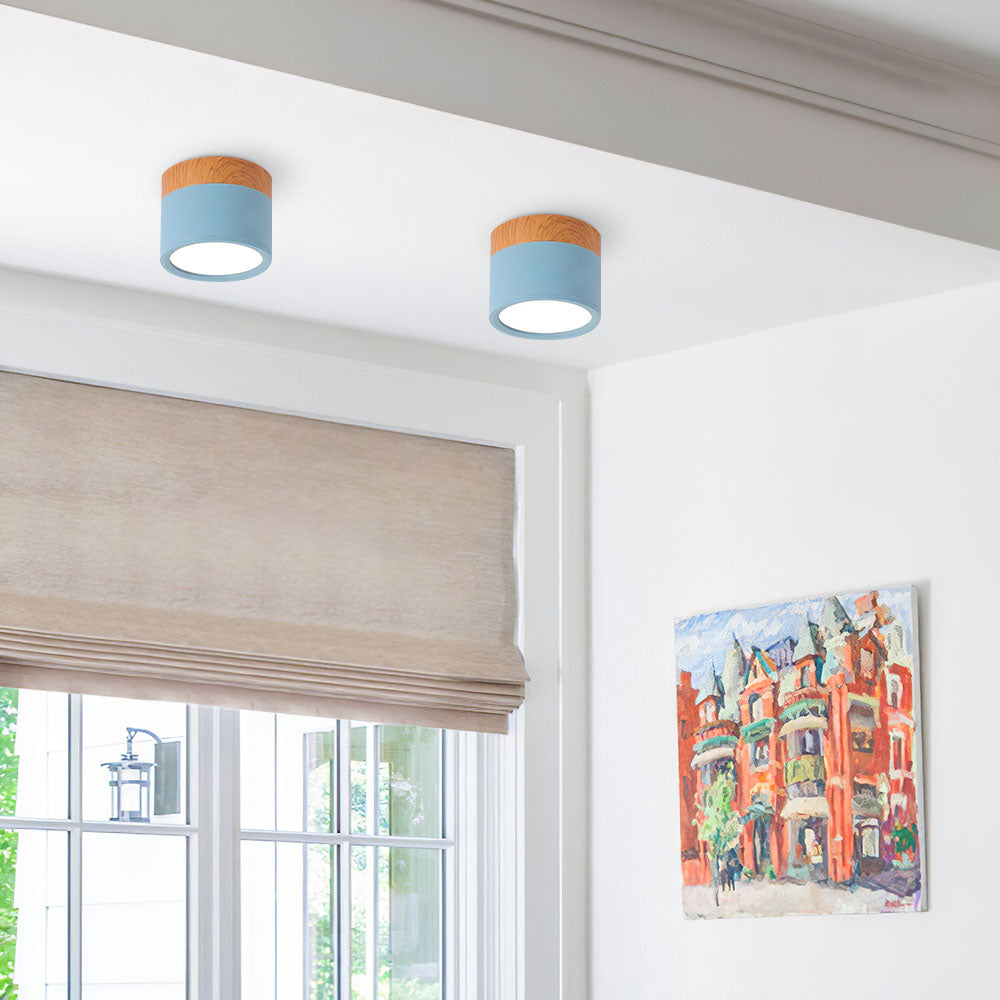 LED Ceiling Light Modern Flush Mount Cylinder