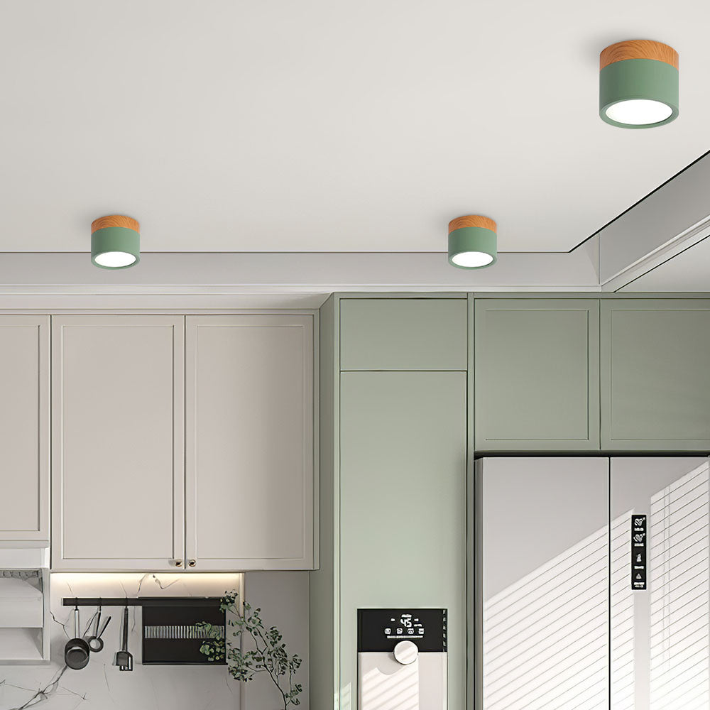 LED Ceiling Light Modern Flush Mount Cylinder