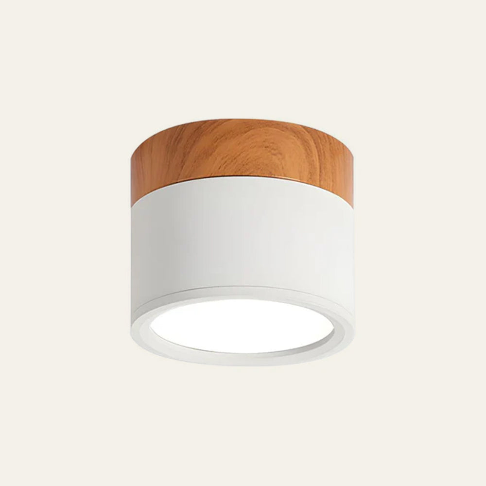 LED Ceiling Light Modern Flush Mount Cylinder