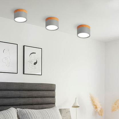 LED Ceiling Light Modern Flush Mount Cylinder