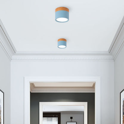 LED Ceiling Light Modern Flush Mount Cylinder
