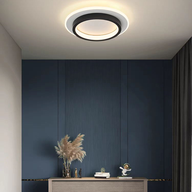LED Ceiling Light Modern Flush Mount Fixture