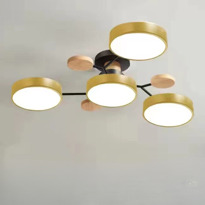 Ceiling Light Modern LED Flush Mount Chandelier