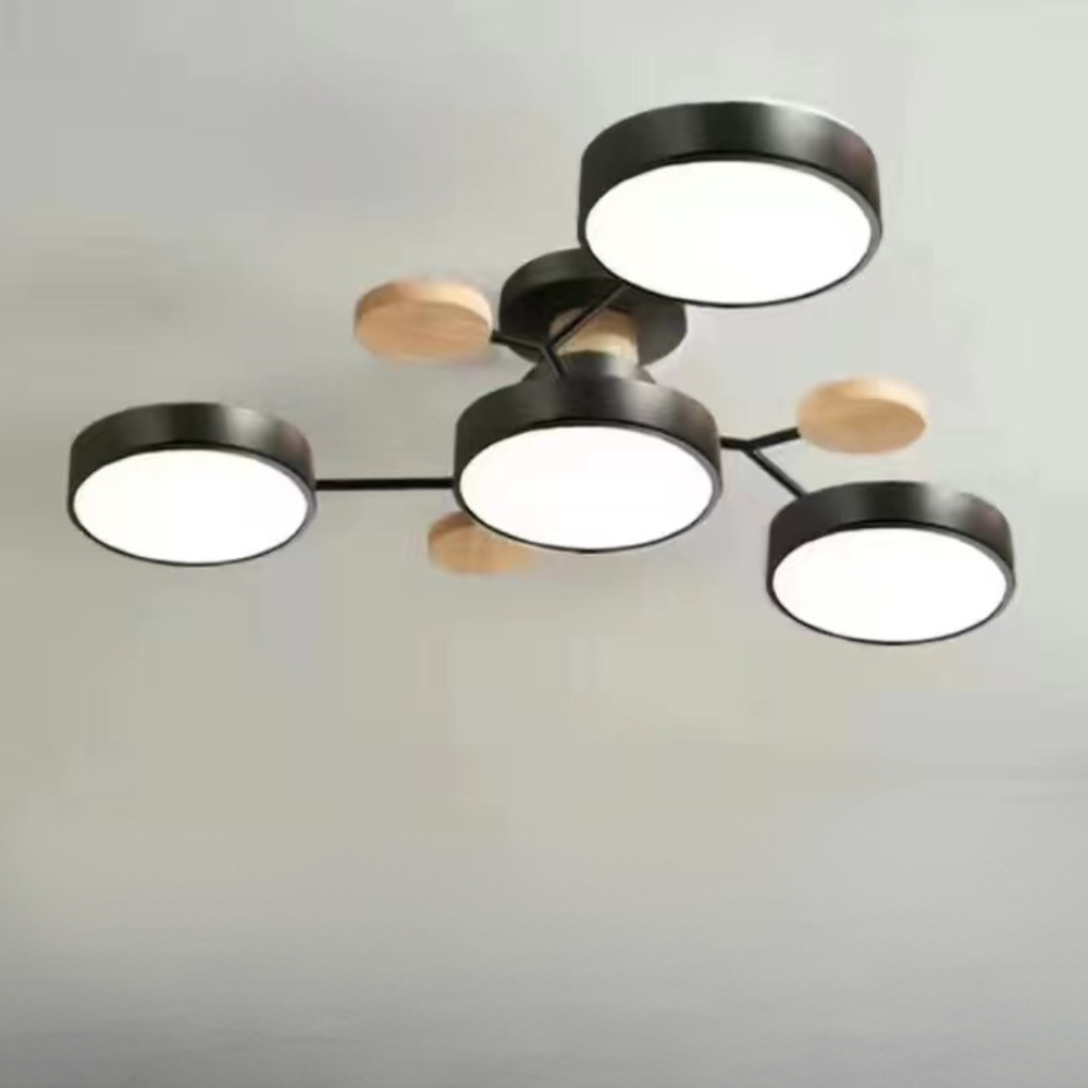 Ceiling Light Modern LED Flush Mount Chandelier