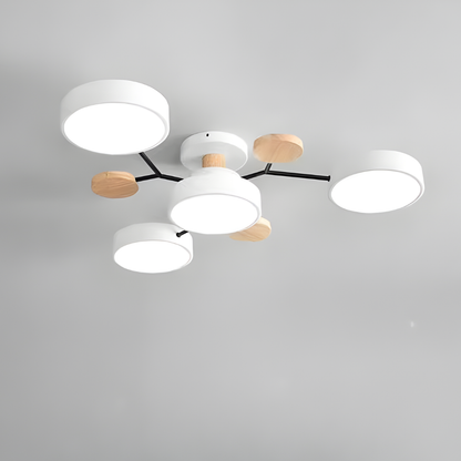 Ceiling Light Modern LED Flush Mount Chandelier