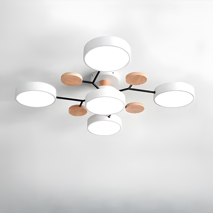 Ceiling Light Modern LED Flush Mount Chandelier