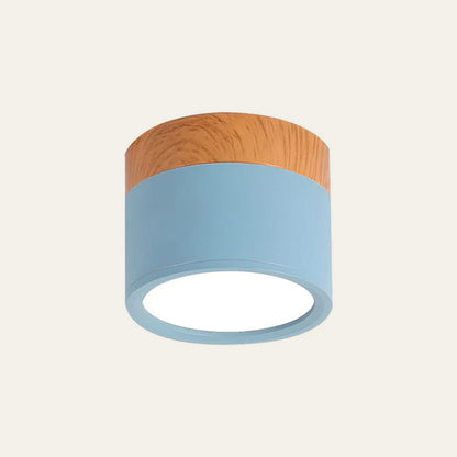 LED Ceiling Light Modern Flush Mount Cylinder