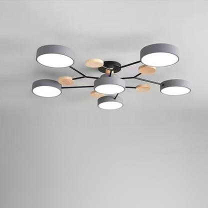 Ceiling Light Modern LED Flush Mount Chandelier