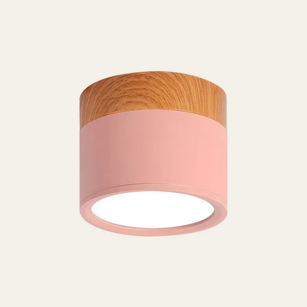 LED Ceiling Light Modern Flush Mount Cylinder