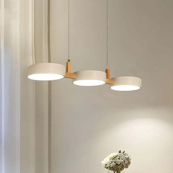 Ceiling Light Modern Metal Pendant Fixture