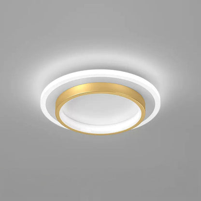 LED Ceiling Light Modern Flush Mount Fixture