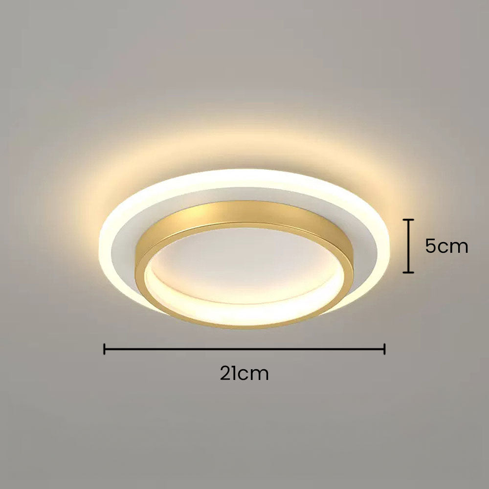 LED Ceiling Light Modern Flush Mount Fixture