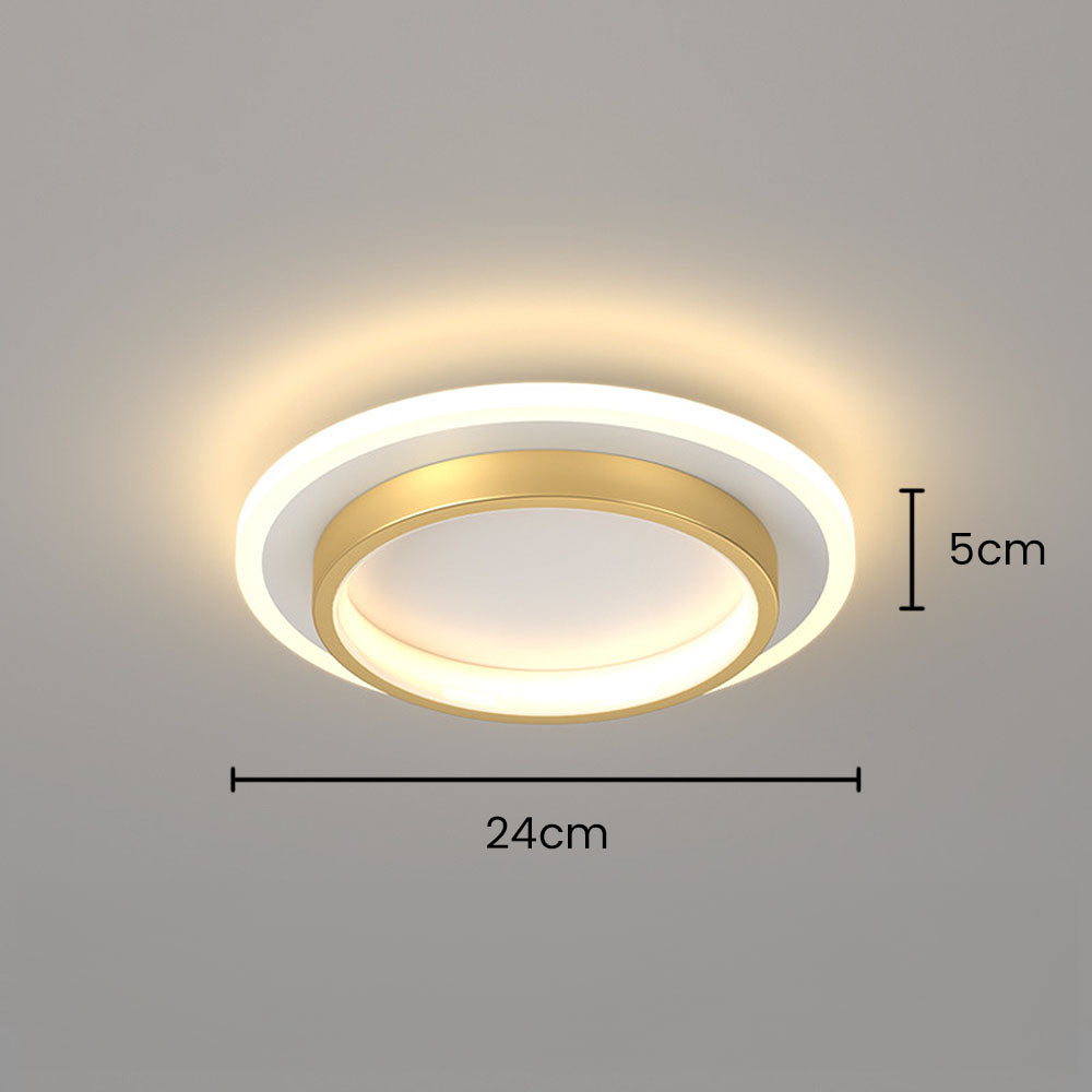 LED Ceiling Light Modern Flush Mount Fixture