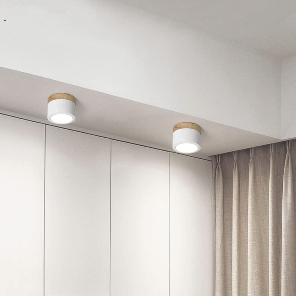 LED Ceiling Light Modern Flush Mount Cylinder