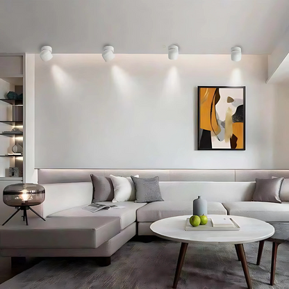 LED Adjustable Ceiling Spotlight Aluminum